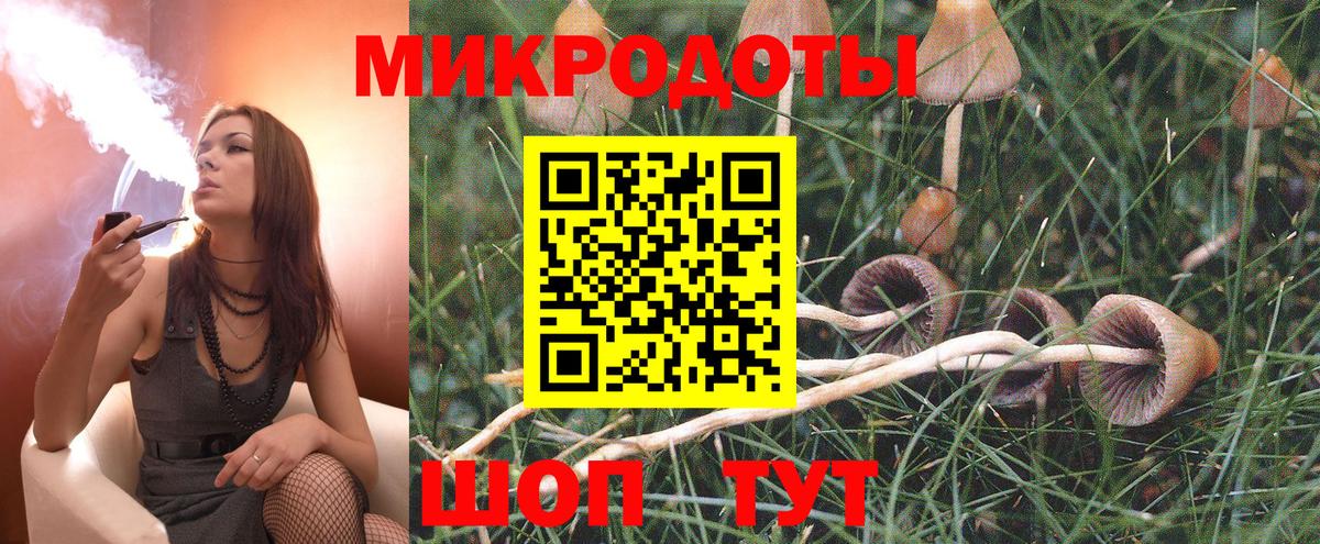 Псилоцибиновые грибы Cubensis Зеленокумск
