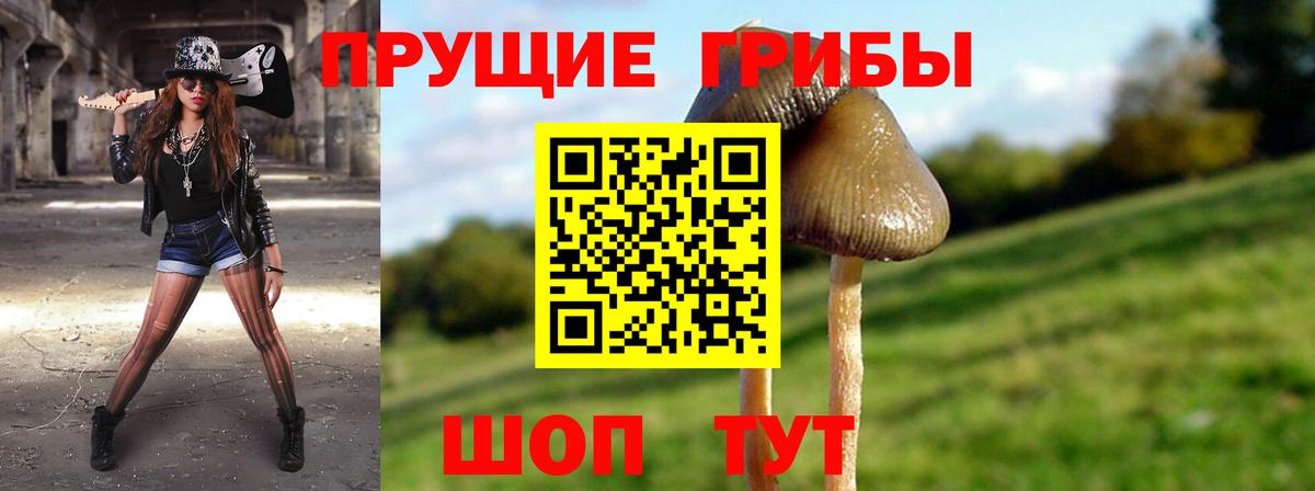 Псилоцибиновые грибы мухоморы  Галлюциногенные грибы мухоморы  Вход с VPN  купить   Зеленокумск 